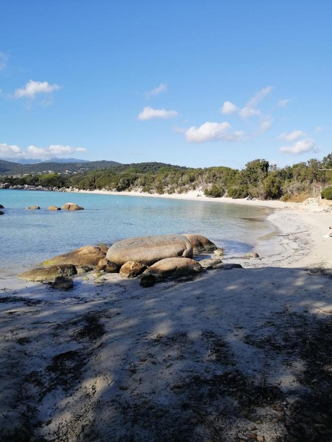 Villa Vue Mer A Santa Giulia 维琪奥港 外观 照片